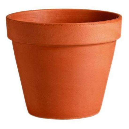 Picture of Plant Pot
